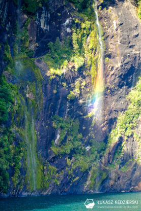 podróż do nowej zelandii milford sound rejs