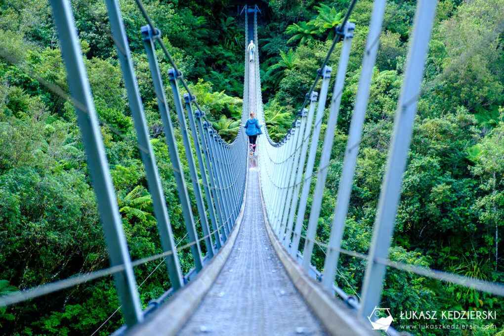 nowa zelandia podróż do nowej zelandii lodowiec franz josef glacier szlak Roberts Track View Platform