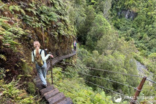 nowa zelandia podróż do nowej zelandii lodowiec franz josef glacier szlak Roberts Track View Platform