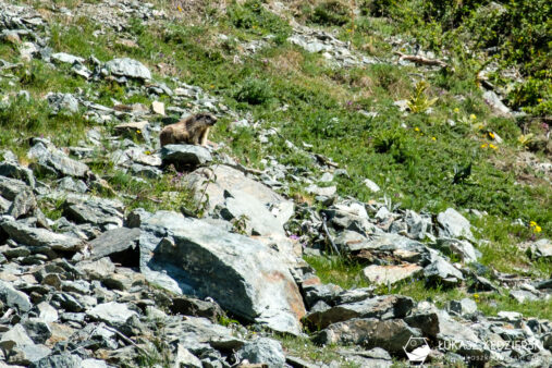 podróż do szwajcarii matterhorn 5 seenweg 5 jezior 5 lakes