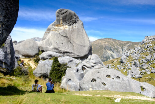 nowa zelandia castle hill