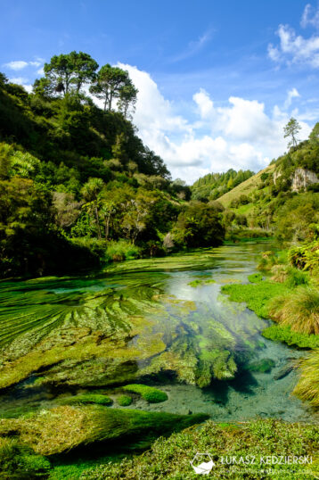 podróż do nowej zelandii blue spring