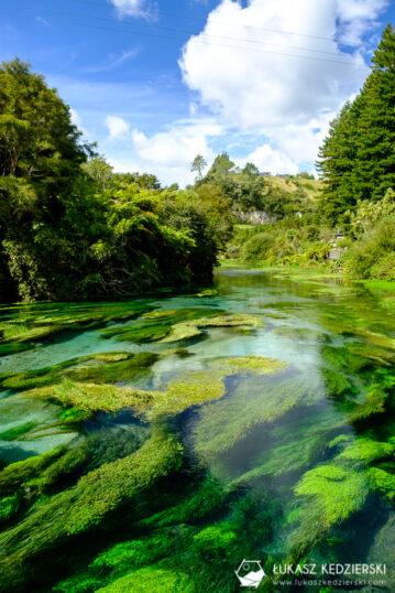 podróż do nowej zelandii blue spring