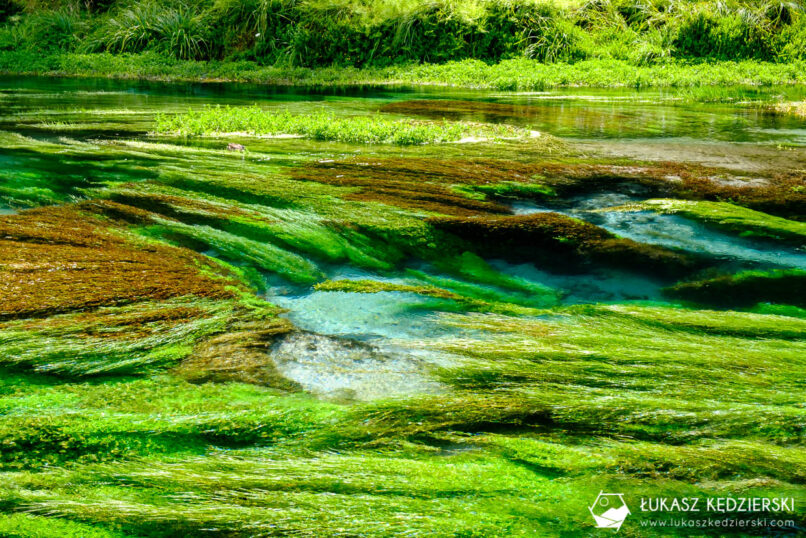 podróż do nowej zelandii blue spring