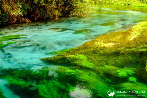 podróż do nowej zelandii blue spring