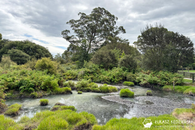 podróż do nowej zelandii nowa zelandia rotorua kairau park