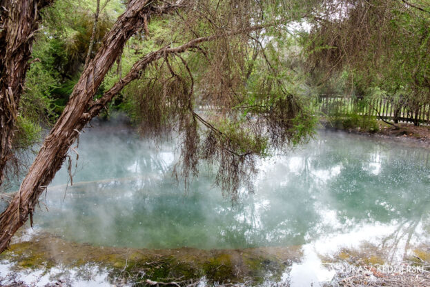podróż do nowej zelandii nowa zelandia rotorua kairau park