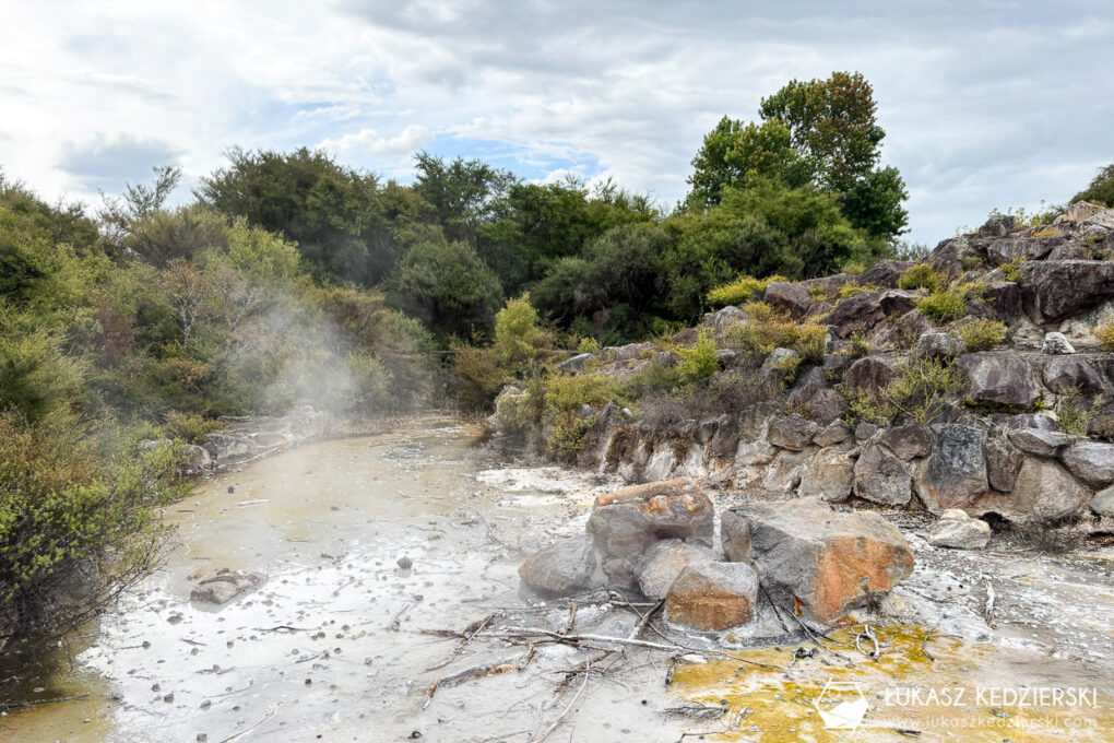 podróż do nowej zelandii nowa zelandia rotorua kairau park