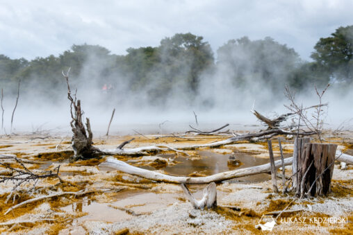 podróż do nowej zelandii nowa zelandia rotorua kairau park