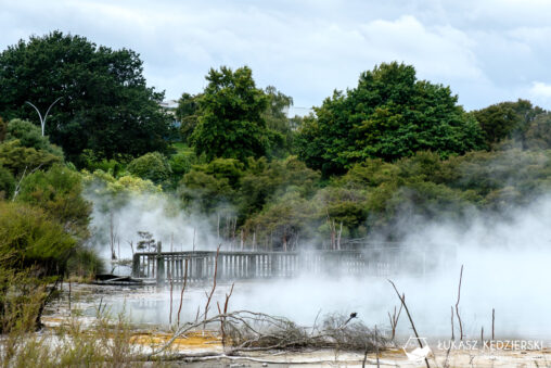 podróż do nowej zelandii nowa zelandia rotorua kairau park